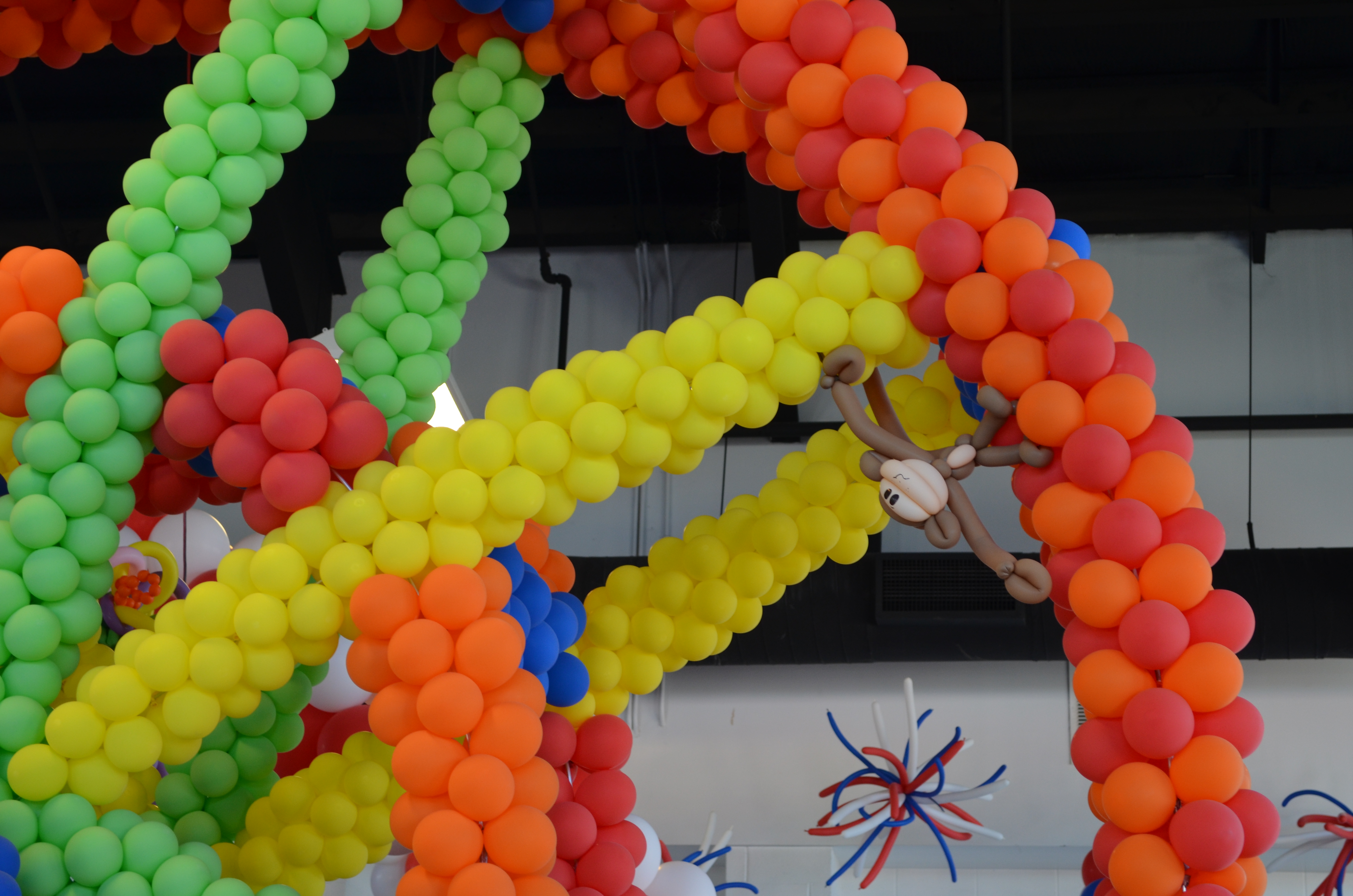 ./2014/State Fair/DSC_6630.JPG